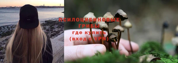 хмурый Белоозёрский