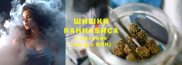 метадон Белокуриха